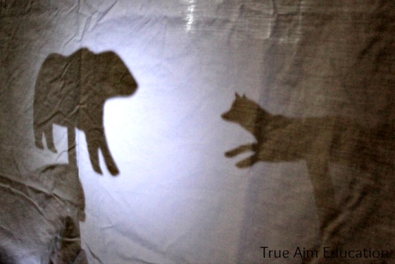 shadow puppet show