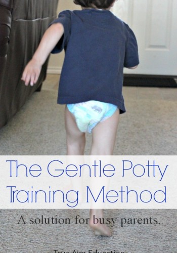 gentle potty training method