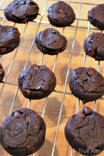 gluten-free paleo chocolate cookies