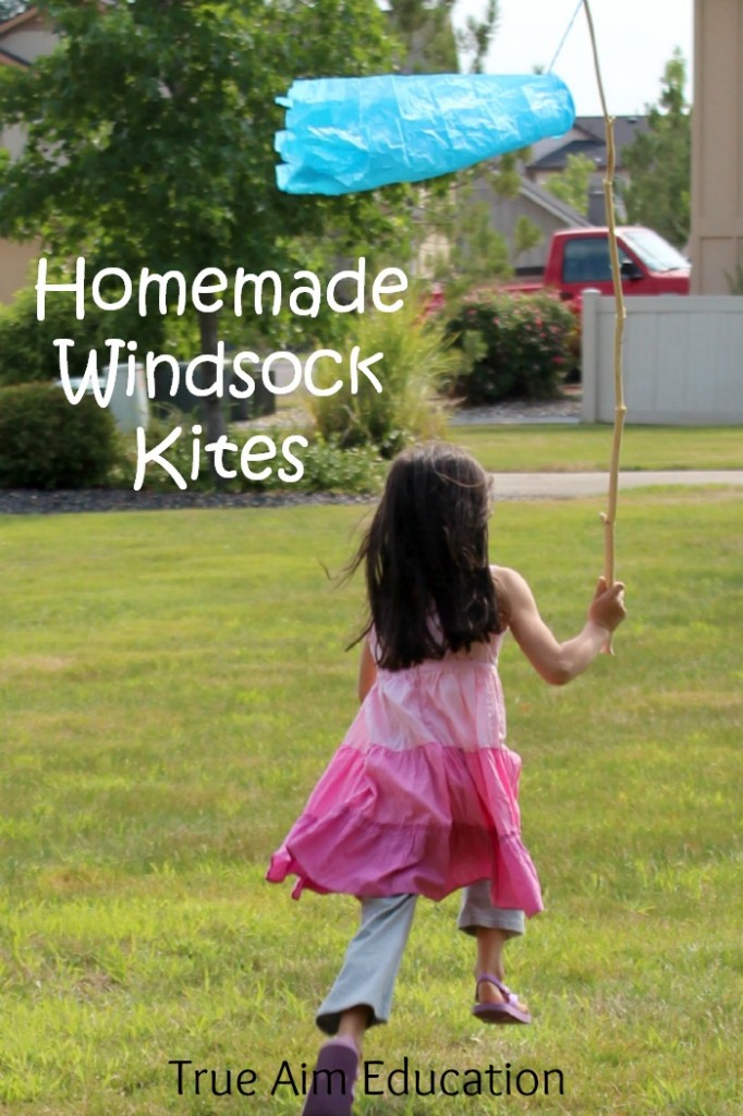 homemade windsock kites