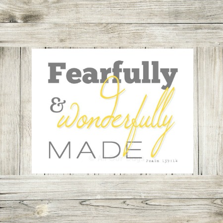 fearfully and wonderfully made