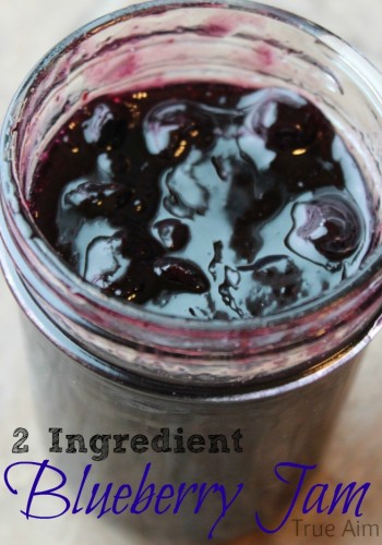 2 Ingredient Blueberry Jam