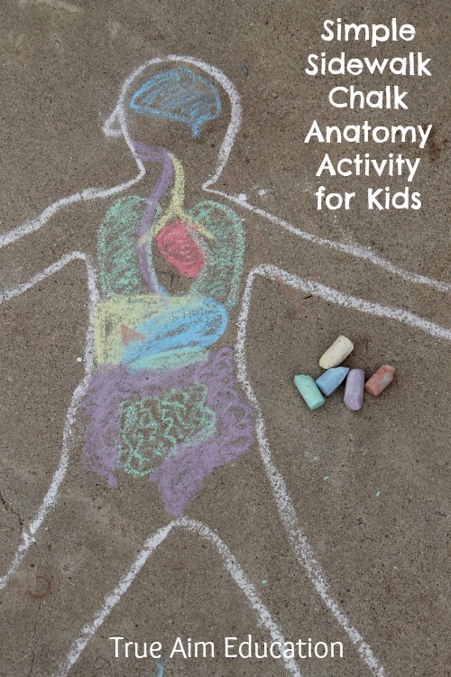Simple Sidewalk Chalk Anatomy Activity for Kids - This hands-on science activity helps children understand where all the parts they learn about fit into their own little bodies.