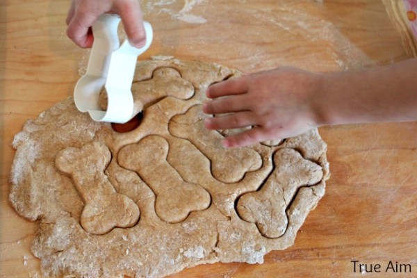 Homemade Dog Biscuit Recipe and a Guide to Nutrition for Puppies | True Aim