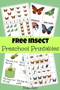 Free Preschool Printables: Insect Mini Pack - True Aim
