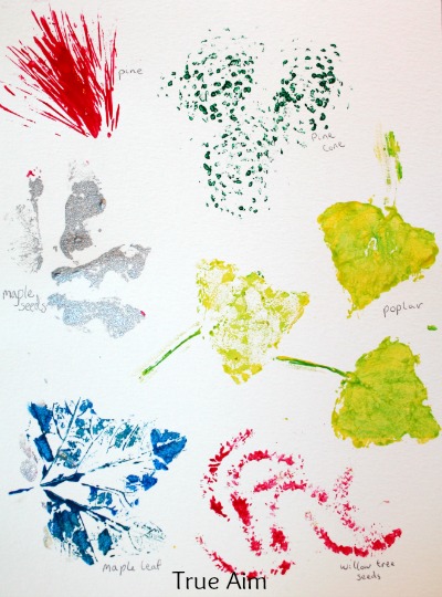 leaf print science project