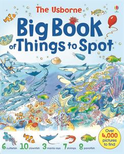 Big book of things to spot cv
