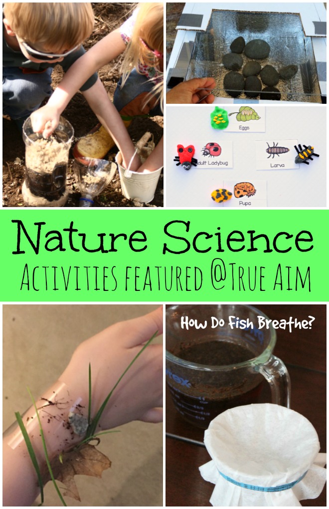 Nature Science Activities for Kids