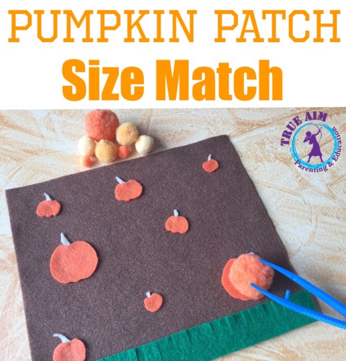pumpkin patch match
