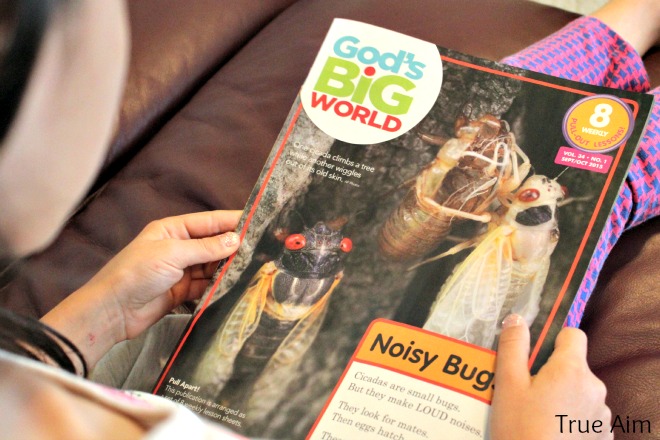 homeschooling with kids magazines