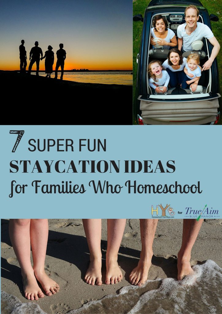7 Super Fun Staycation Ideas for Families Who Homeschool