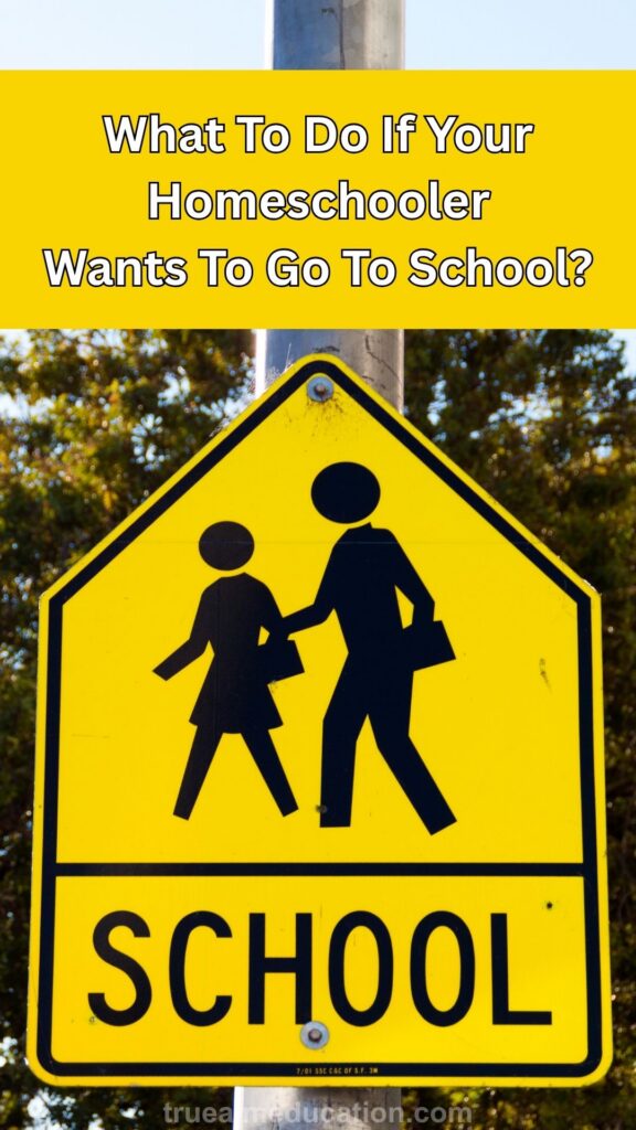 what to do if homeschool child wants to go to school what to do if homeschool child wants to go to school